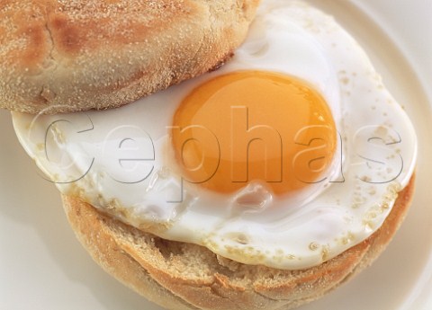 Fried egg muffin