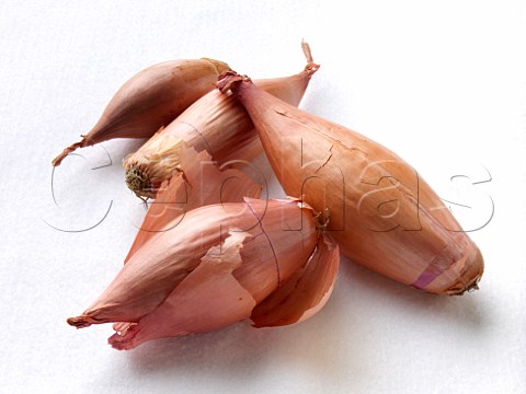 Echalion shallots