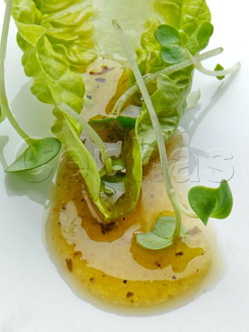 Single lettuce leaf with salad dressing