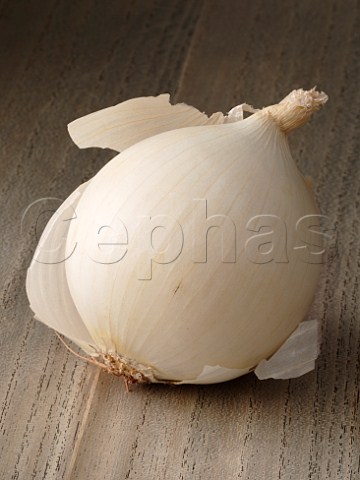 Large white onion