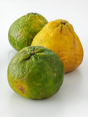 Three Ugli fruit