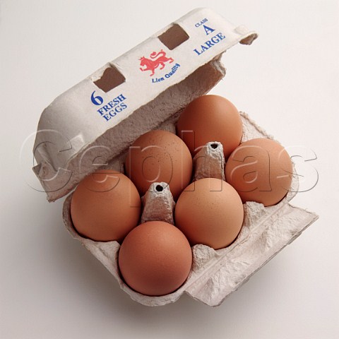 Six fresh eggs in egg box