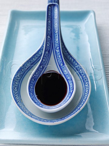 Soy sauce on china spoon