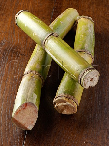 Sticks of sugarcane on a dark wood background