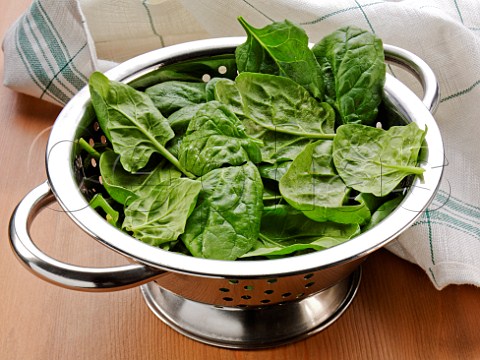 Spinach in a colander