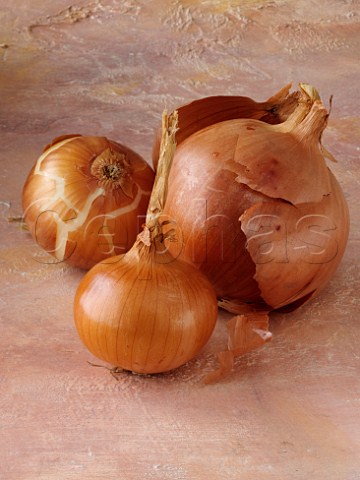 Large and small onions