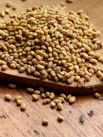 Alfalfa seeds on a wooden background