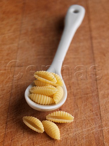 Malloreddus pasta in a spoon