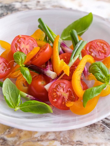 Tomato and pepper salad