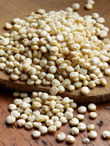 Pile of quinoa seeds