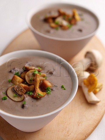Bowls of wild mushroom soup