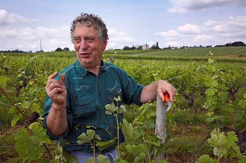 Claude Papin working with Chenin Blanc vines in Clos de la Soucherie vineyard of Chteau Pierre Bise BeaulieusurLayon MaineetLoire France Coteaux du LayonVillages