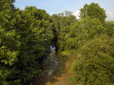 Layon River near BeaulieusurLayon MaineetLoire France