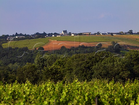 View across the Layon Valley to Chteau Pierre Bise and its vineyards Near BeaulieusurLayon MaineetLoire France Coteaux du LayonVillages