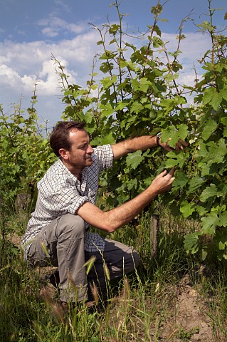 Thierry Germain in the Chenin Blanc vineyard from which he makes his Insolite Domaine des Roches Neuves Varrains MaineetLoire France Saumur Blanc