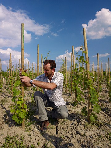 Thierry Germain in a new Cabernet Franc vineyard planted au carr Domaine des Roches Neuves Varrains MaineetLoire France SaumurChampigny