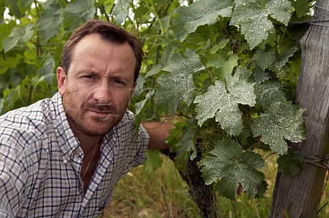 Thierry Germain with Cabernet Franc vines in his La Marginale vineyard which have been sprayed with a biodynamic solution Domaine des Roches Neuves Varrains MaineetLoire France SaumurChampigny
