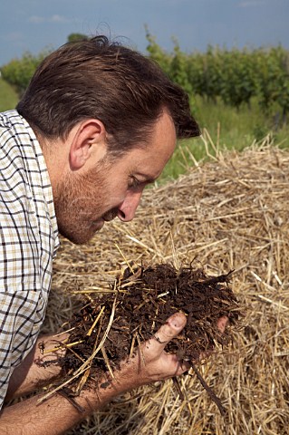Thierry Germain smelling his biodynamic compost Domaine des Roches Neuves Varrains MaineetLoire France SaumurChampigny