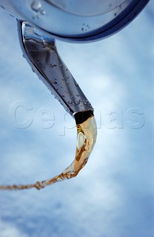 Pouring tea