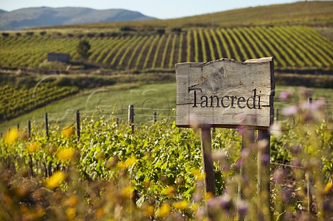 Tancredi vineyard at the Contessa Entellina Estate of Donnafugata Winery near Santa Margherita di Blice Sicily Italy DOC Contessa Entellina