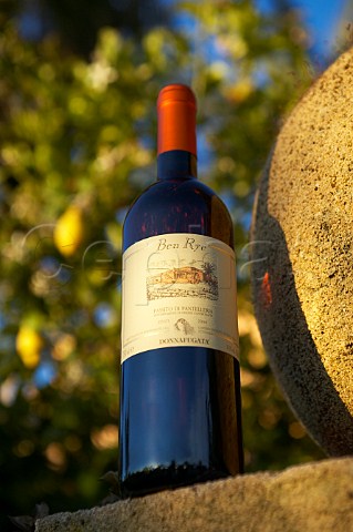 Donnafugata winery a bottle of Ben Ry wine Sicily Italy DOC Passito di Pantelleria