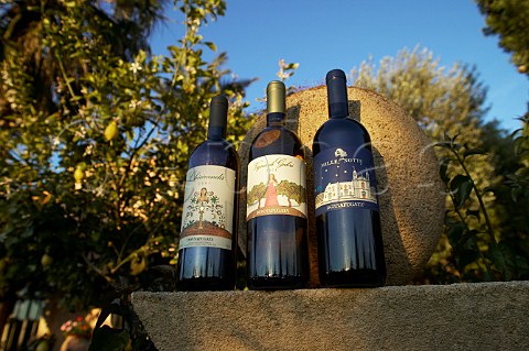 Bottles of Chiarand Vigna di Gabri and Mille e una Notte wine Contessa Entellina Estate of Donnafugata winery near Santa Margherita di Blice Sicily Italy DOC Contessa Entellina