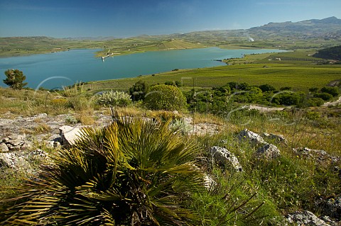 Planeta winery near Sambuca di Sicilia in Contrada Ulmo by the shores of Lake Arancio Agrigento province Sicily Italy