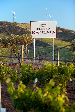 Sign and weather station at Tenuta Rapital Camporeale Sicily Italy DOC Bianco Alcamo