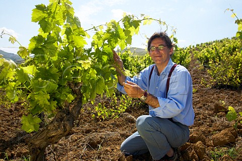 Francesco Spadafora of Spadafora winery controlling a Catarratto vineyard Contrada Virzi Monreale Sicily Italy
