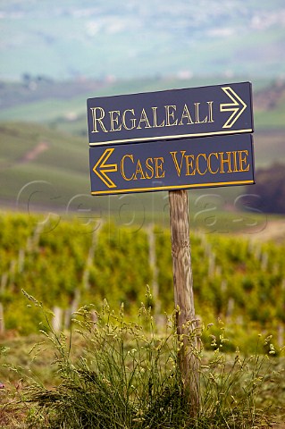Vineyards of Regaleali  Tasca dAlmerita winery Vallelunga Pratameno Sicily Italy