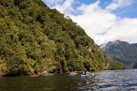 Kayaks in Hope Arm in Doubtful Sound Fiordland National Park South Island New Zealand
