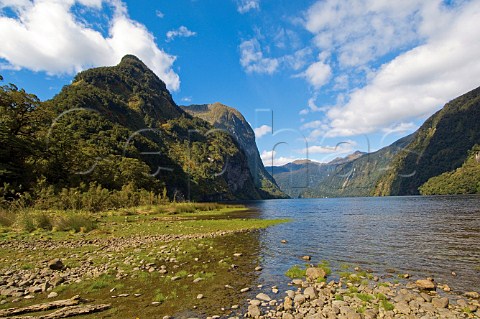 Rocky beach in Hope Arm in Doubtful Sound Fiordland National Park South Island New Zealand