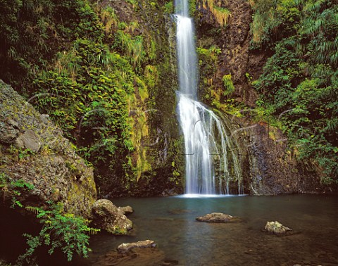 Kitekite Falls in the Waitakere National Park near Auckland North Island New Zealand