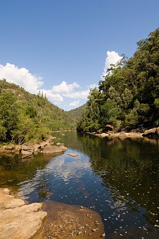 Colo River in Wollemi National Park New South Wales Australia