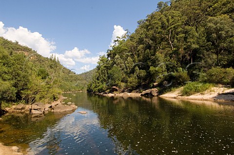 Colo River in Wollemi National Park New South Wales Australia