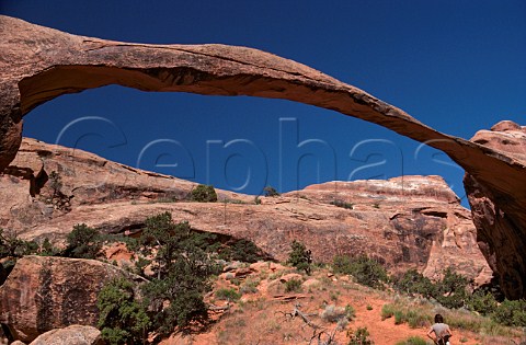 Landscape Arch Arches National Park Utah USA