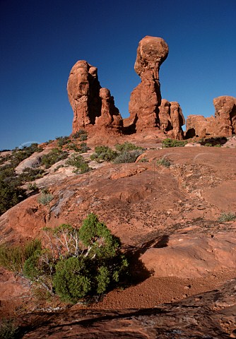 Arches National Park Utah USA