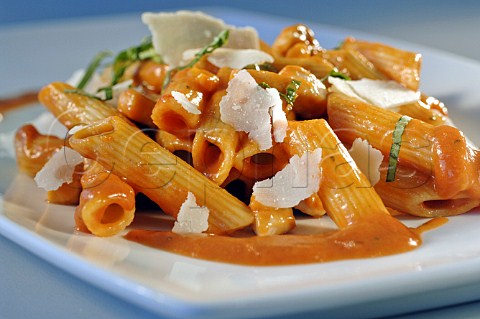 Penne with tomato sauce and parmesan cheese