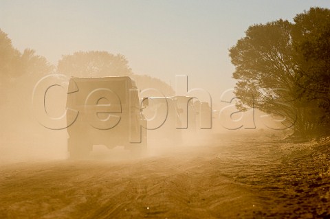 Vehicles on dusty trail near Wiluna Western Australia