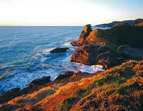 Sunset light on the coast near Piha Beach Waitakere Ranges Regional Park North Island New Zealand