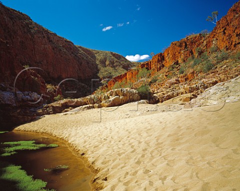Ormiston Gorge in the West Macdonnell Ranges National Park Northern Territory Australia