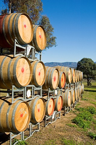 Oak barrels at Allandale Winery Lower Hunter Valley New South Wales Australia