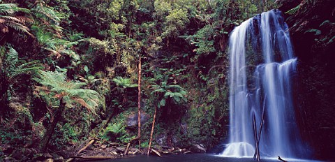 Beauchamp Falls Otway Ranges Victoria Australia