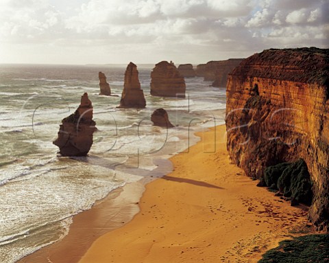 The Twelve Apostles near sunset Port Campbell National Park Victoria Australia