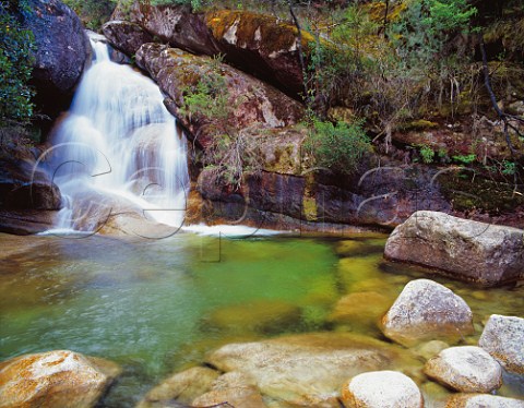 Ladies Bath Falls Mount Buffalo National Park Victoria Australia