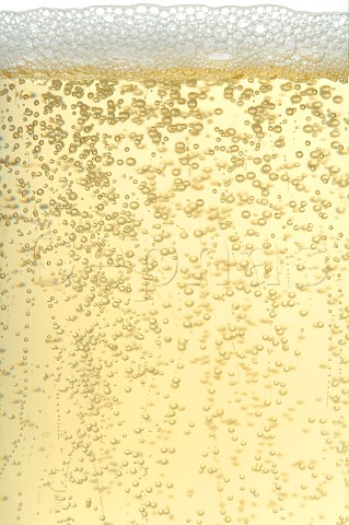 Bubbles in a glass of champagne