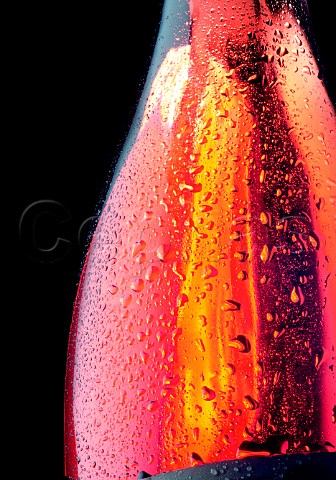 Condensation on a bottle of ros wine