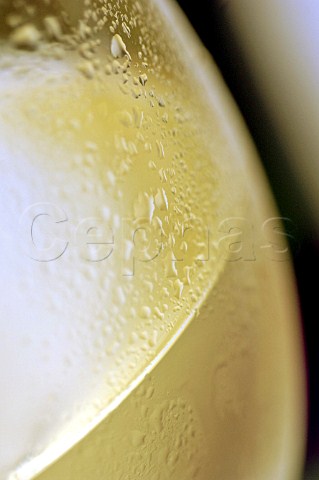 Condensation on a glass of chilled white wine