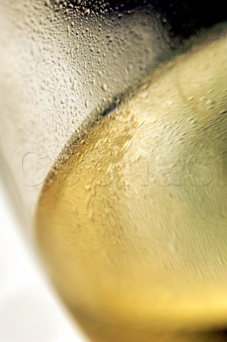 Condensation on a glass of chilled white wine