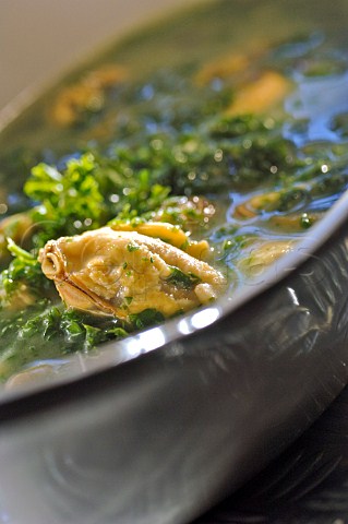 Mussel and sea lettuce soup